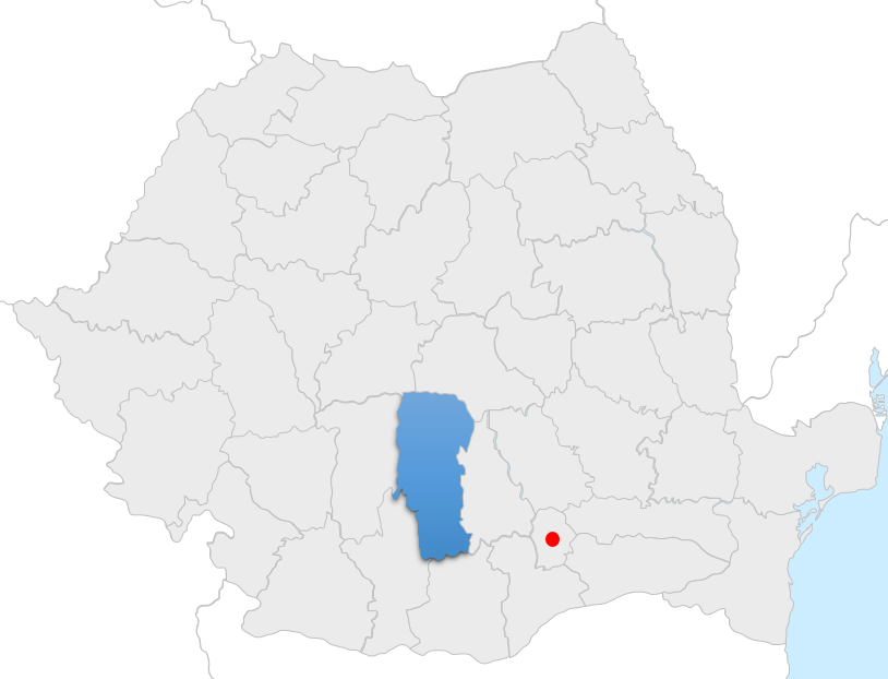 filiala arges