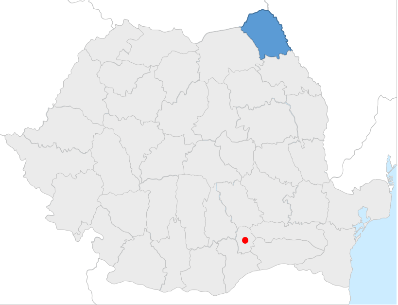 filiala bucuresti