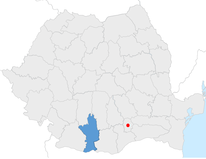 filiala olt