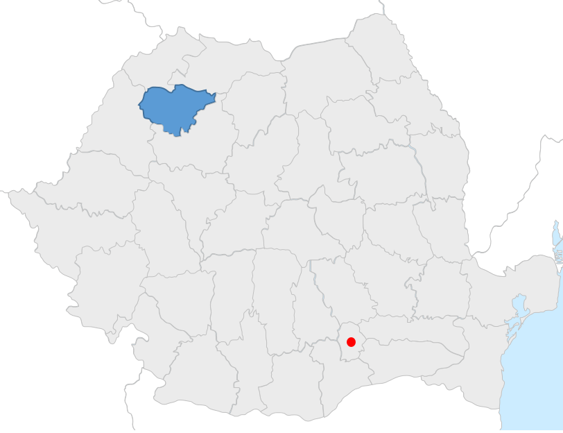 filiala salaj