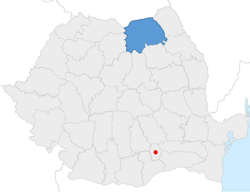 filiala suceava